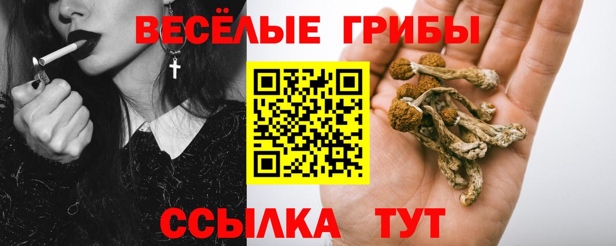 Унеча  Галлюциногенные грибы мухоморы  Вход с VPN  Галлюциногенные грибы мухоморы 